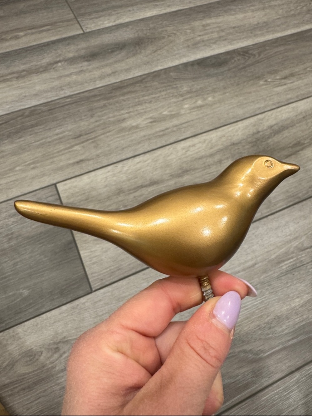 Gold bird hooks